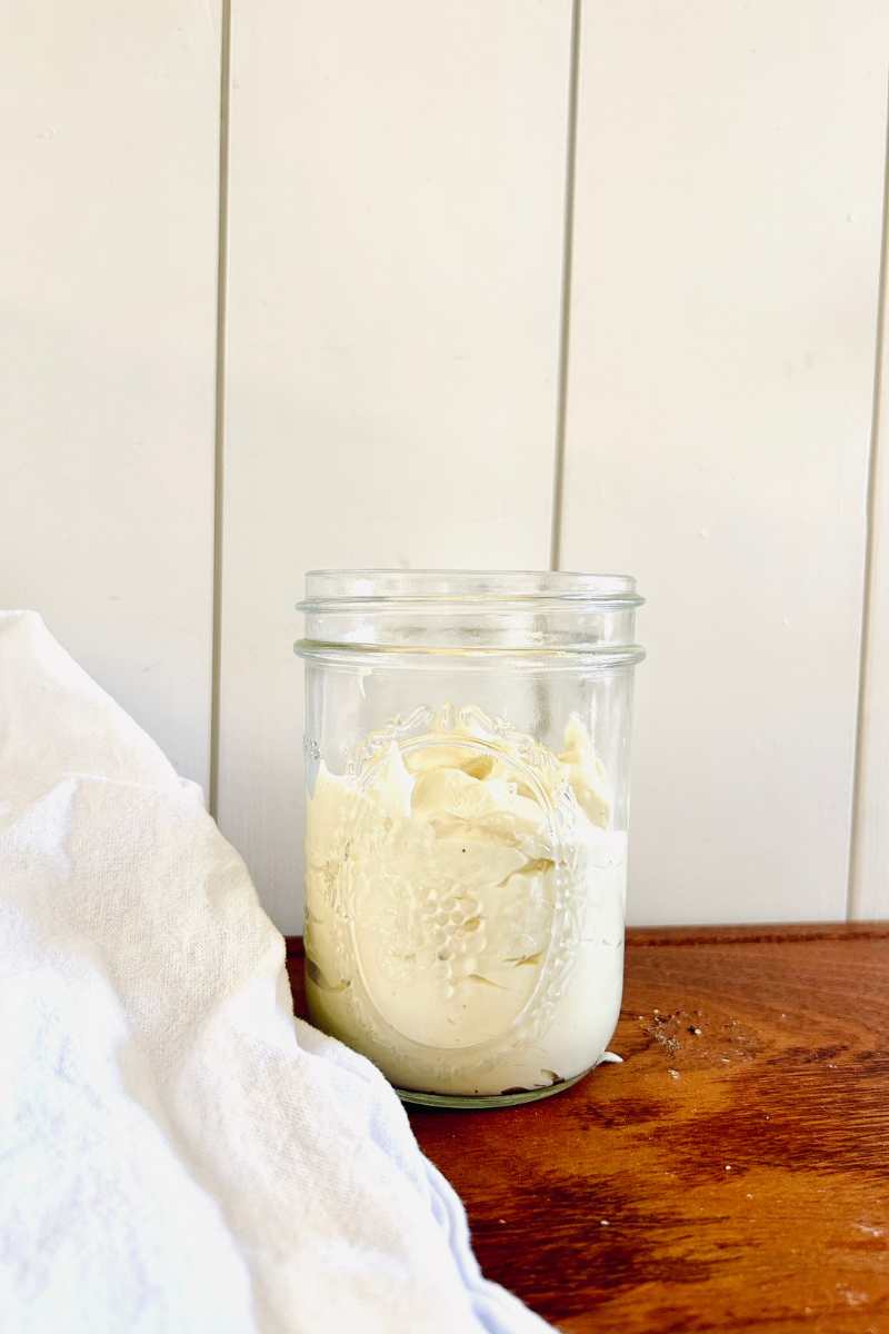 How To Make Delicious Homemade Mayonnaise In One Minute